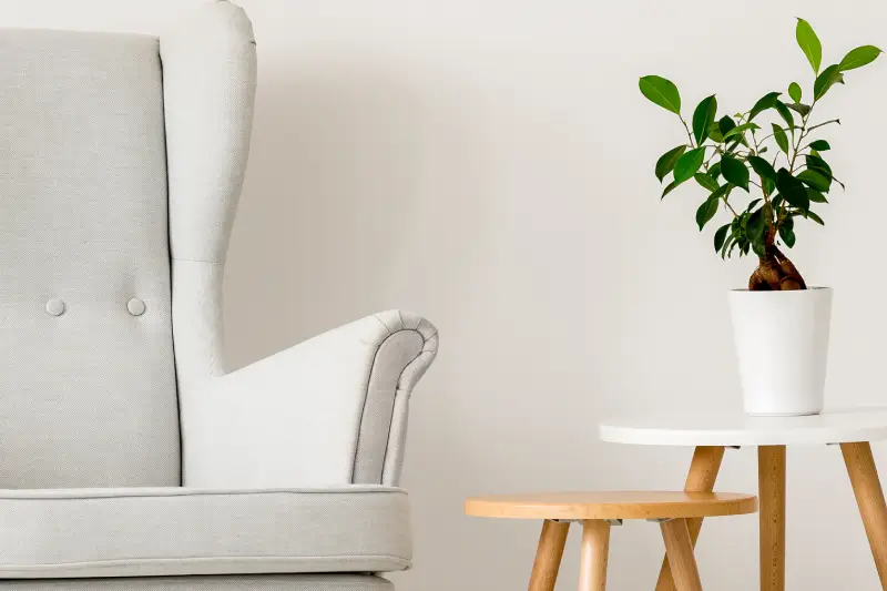 Panoramic picture of a white armchair and a plant against a white wall